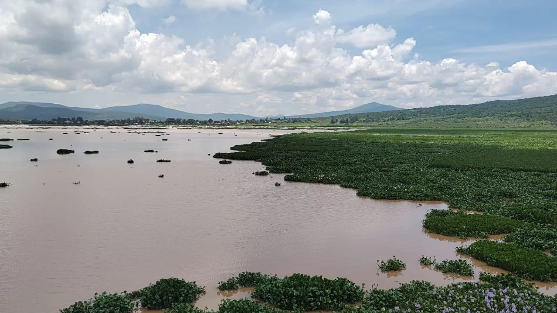 Presa Urepetiro 6